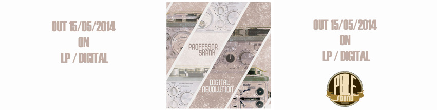 Professor Skank cover BANNER site copy